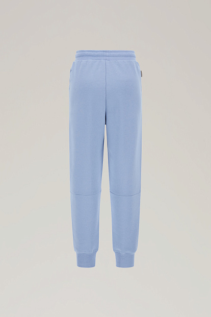 Брюки Спортивные Woolrich Logo Sweatpant ИНДИГО Брюки Спортивные Woolrich Logo Sweatpant ИНДИГО