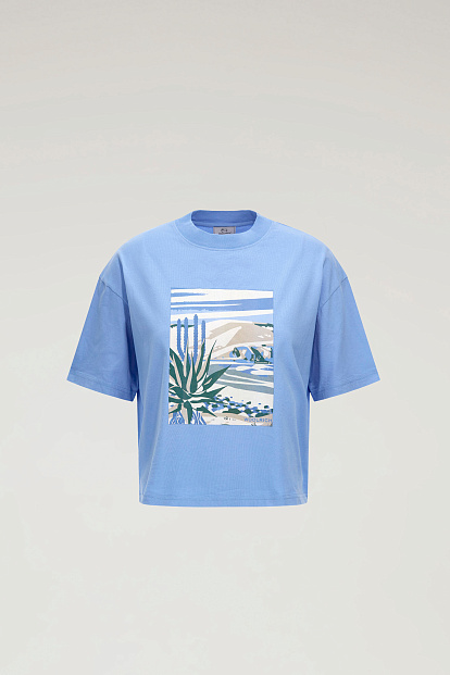Футболка Woolrich Graphic T-Shirt ГОЛУБОЙ Футболка Woolrich Graphic T-Shirt ГОЛУБОЙ
